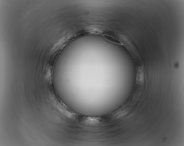 X0000116390573200912161527