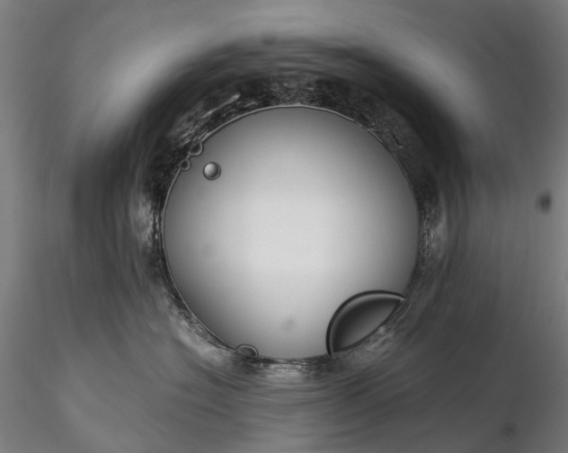 X0000116390574200912161527