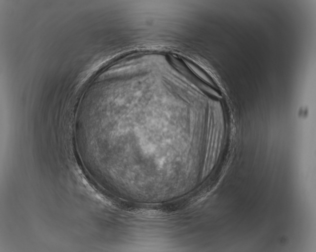 X0000116390577200912161526