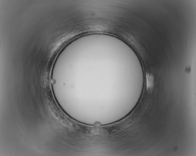X0000116390579200912161526