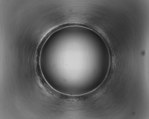 X0000116390580200912161526