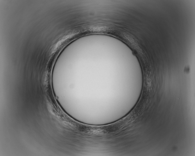 X0000116390583200912161526