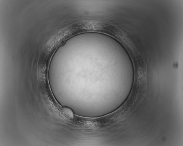 X0000116390585200912161526