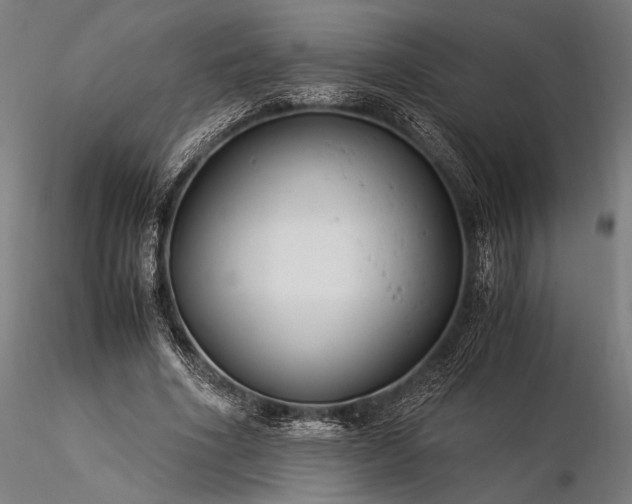 X0000116390586200912161526