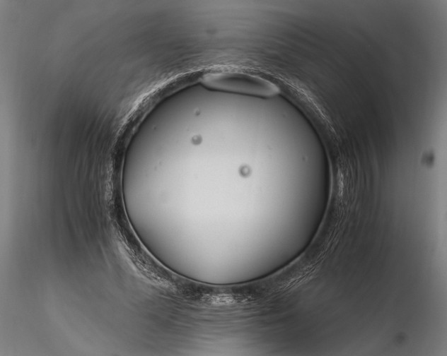 X0000116390588200912161526