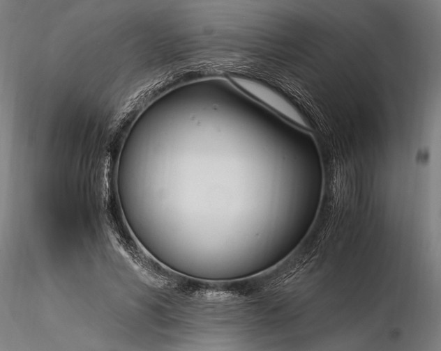 X0000116390590200912161526