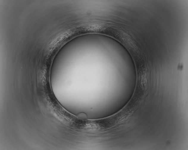 X0000116390591200912161526