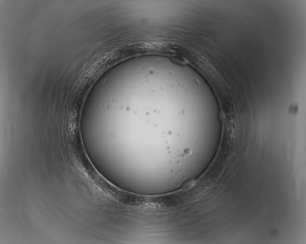 X0000116390593200912161526