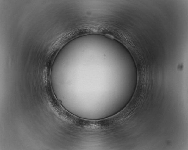 X0000116390594200912161526