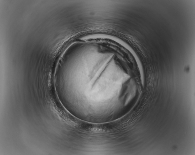 X0000116390596200912161526