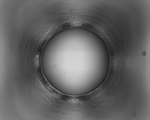 X0000116390598200912161526