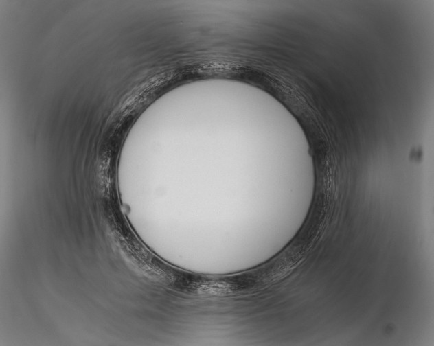 X0000116390599200912161526