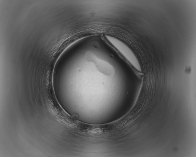 X0000116390600200912161526