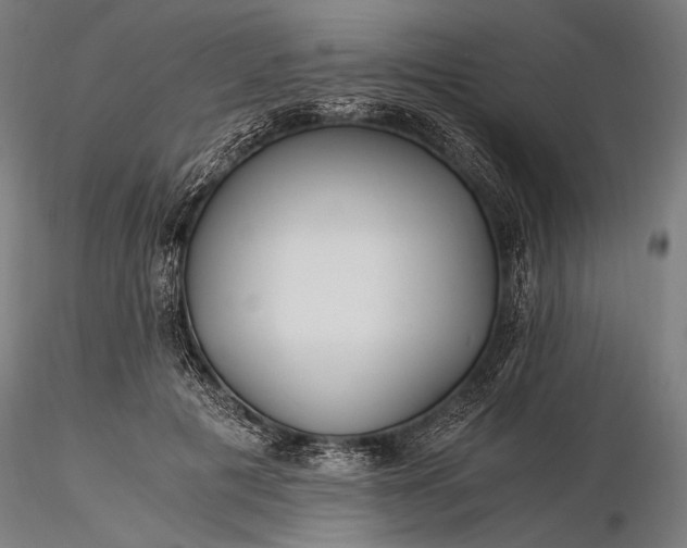 X0000116390601200912161526