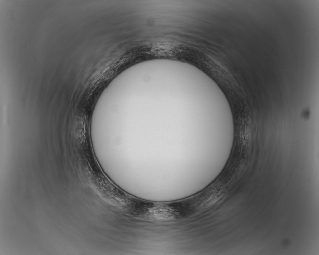 X0000116390603200912161526