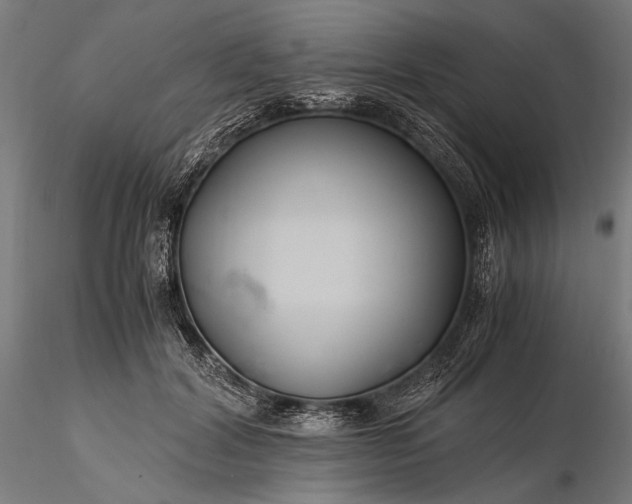 X0000116390604200912161526