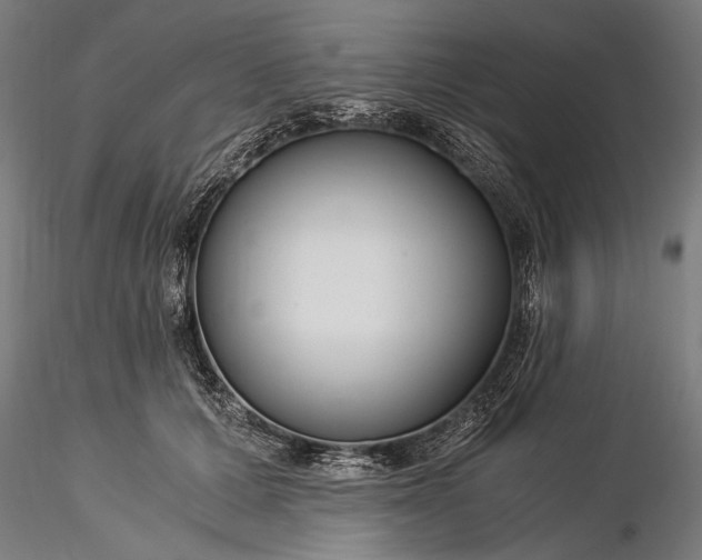 X0000116390607200912161526