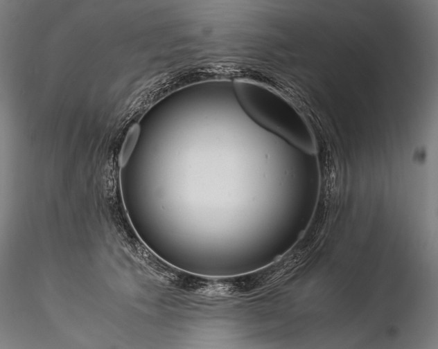 X0000116390609200912161526