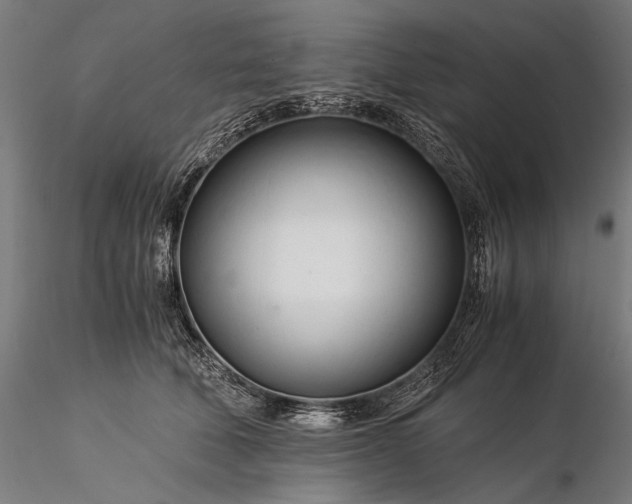 X0000116390610200912161526