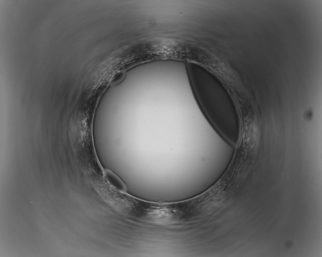 X0000116390611200912161526