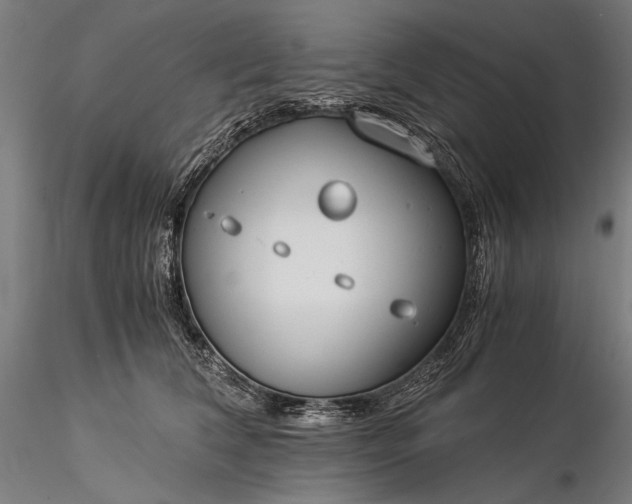 X0000116390612200912161526