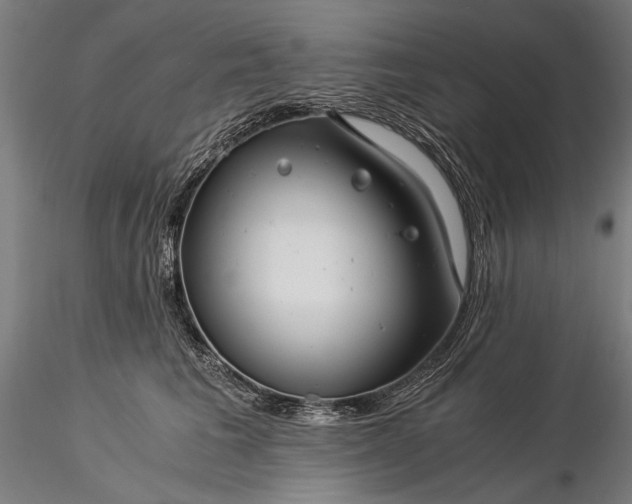 X0000116390613200912161526