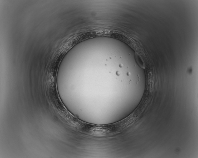 X0000116390614200912161526
