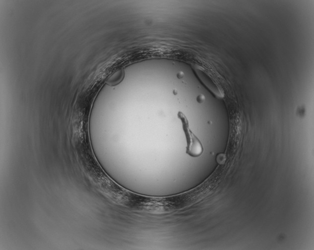 X0000116390615200912161526
