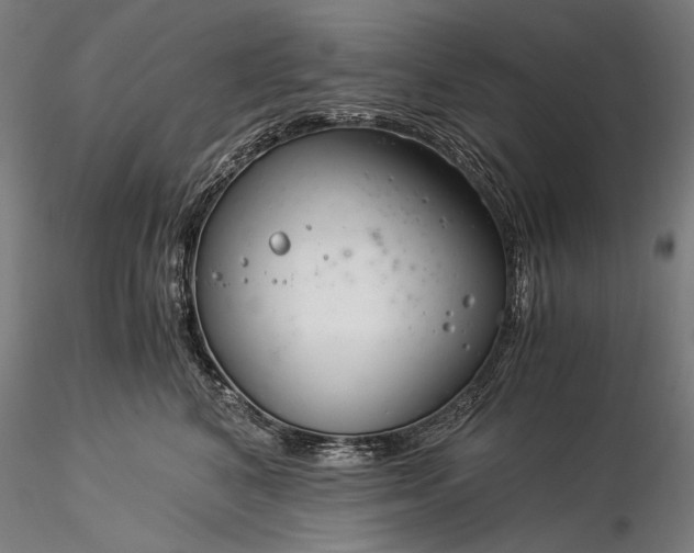 X0000116390616200912161526