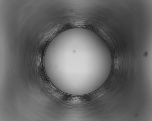 X0000116390618200912161526
