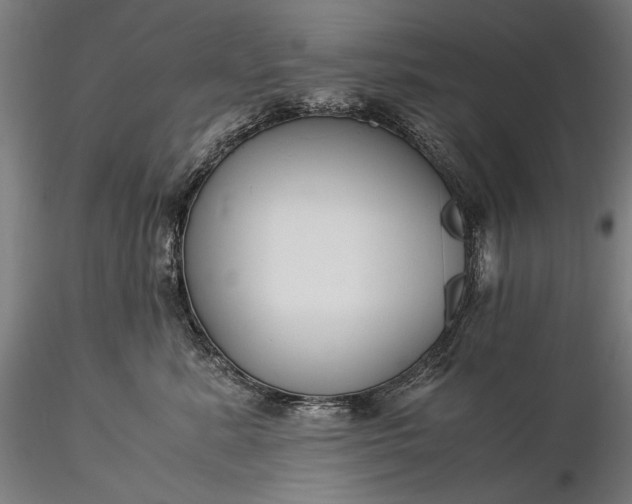 X0000116390619200912161526