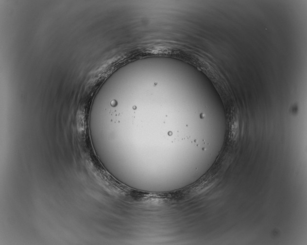 X0000116390620200912161526