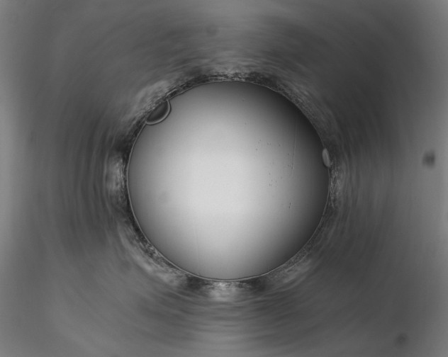 X0000116390623200912161526