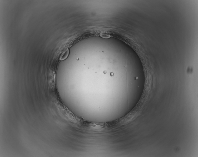 X0000116390624200912161526