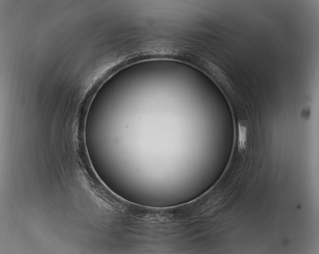 X0000116390627200912161525