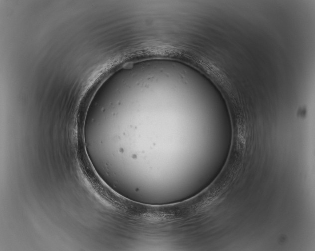 X0000116390630200912161525