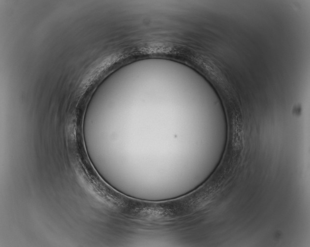 X0000116390631200912161525