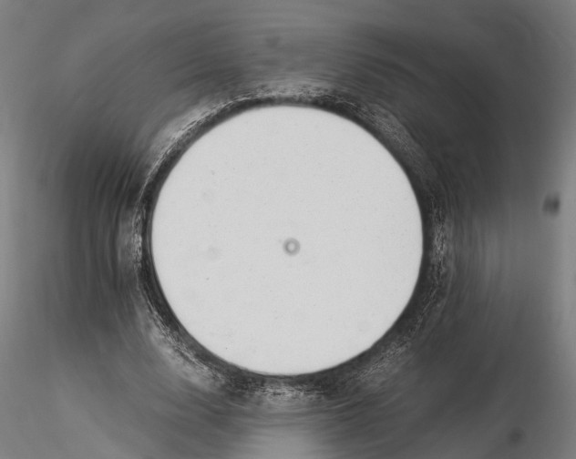 X0000116390632200912161525