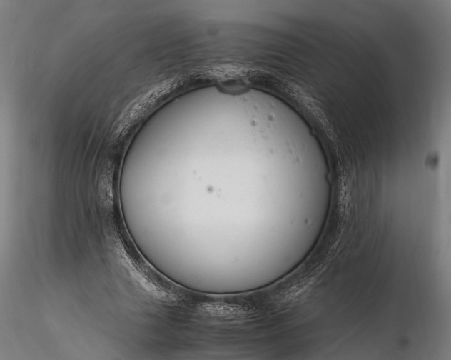 X0000116390633200912161525