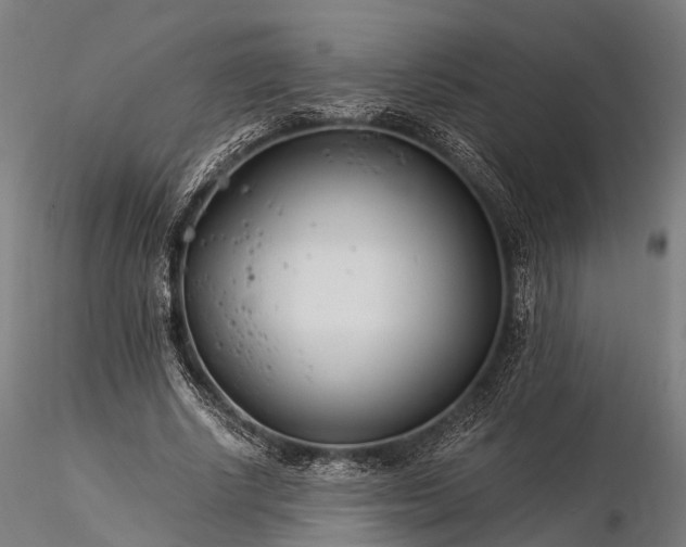 X0000116390634200912161525