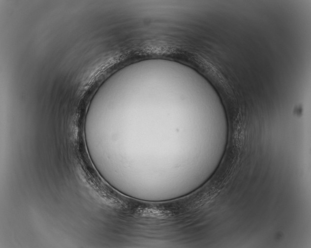 X0000116390635200912161525