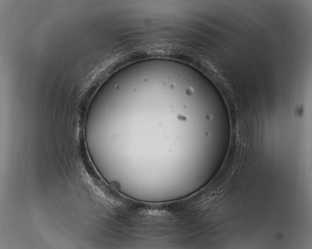 X0000116390637200912161525