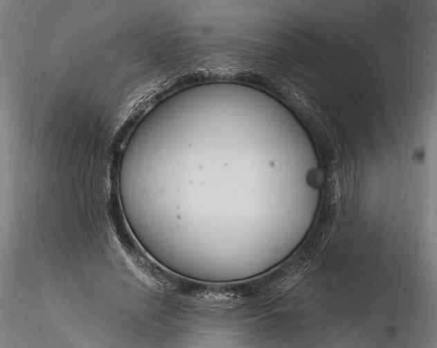 X0000116390638200912161525