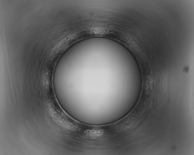 X0000116390639200912161525