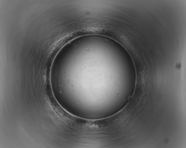 X0000116390640200912161525