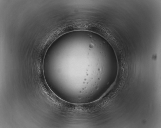 X0000116390641200912161525