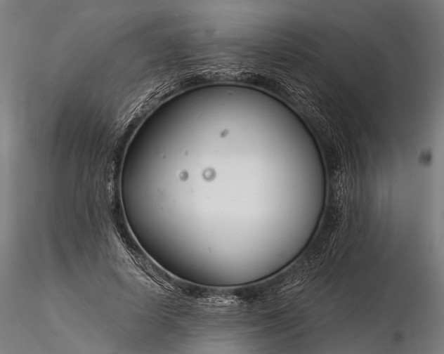 X0000116390642200912161525