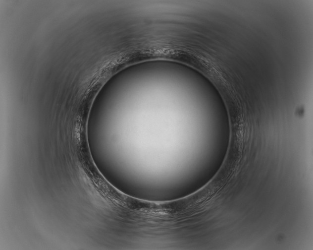 X0000116390643200912161525