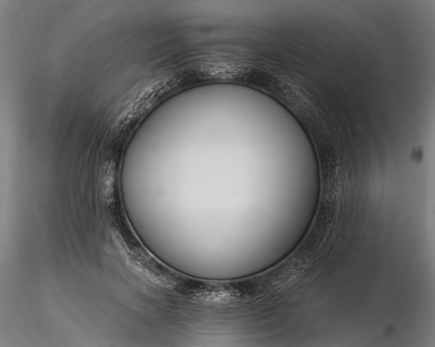 X0000116390646200912161525