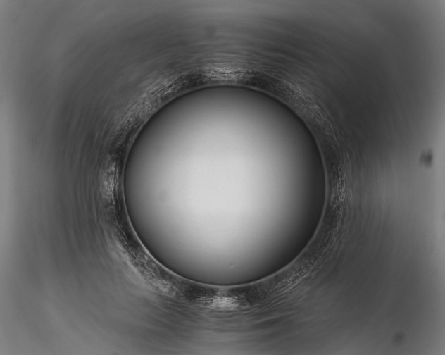 X0000116390647200912161525
